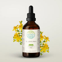 Load image into Gallery viewer, St. John&#39;s Wort Tincture herbera St. John&#39;s Wort Tincture herbera Herbal Extract