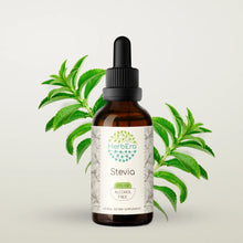 Load image into Gallery viewer, Stevia Tincture herbera Stevia Tincture herbera Herbal Extract