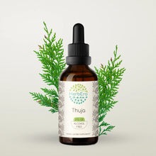 Load image into Gallery viewer, Thuja Tincture herbera Thuja Tincture herbera Herbal Extract