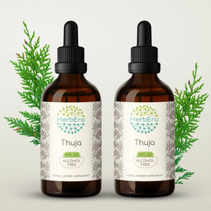 Thuja Tincture herbera Thuja Tincture herbera Herbal Extract