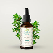 Load image into Gallery viewer, Thyme Tincture herbera Thyme Tincture herbera Herbal Extract