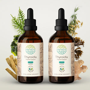 Thyroidix Tincture herbera Thyroidix Tincture herbera Formula