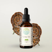 Load image into Gallery viewer, Turkey Tail Tincture herbera Turkey Tail Tincture herbera Herbal Extract