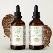 Load image into Gallery viewer, Turkey Tail Tincture herbera Turkey Tail Tincture herbera Herbal Extract