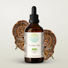 Load image into Gallery viewer, Turkey Tail Tincture herbera Turkey Tail Tincture herbera Herbal Extract