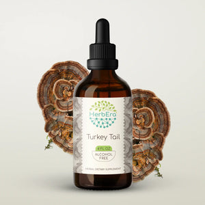 Turkey Tail Tincture herbera Turkey Tail Tincture herbera Herbal Extract