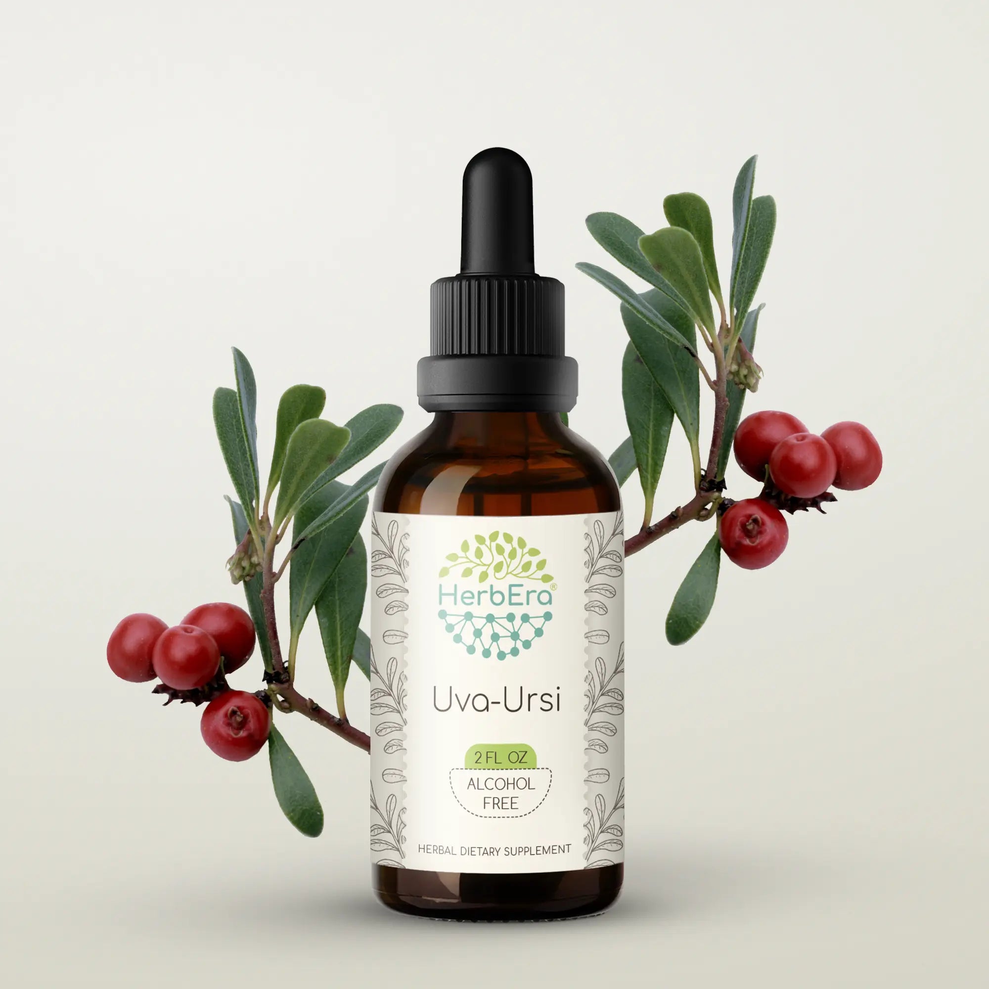 Uva-Ursi Tincture