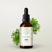 Load image into Gallery viewer, Watercress Tincture herbera Watercress Tincture herbera Herbal Extract