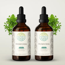 Load image into Gallery viewer, Watercress Tincture herbera Watercress Tincture herbera Herbal Extract