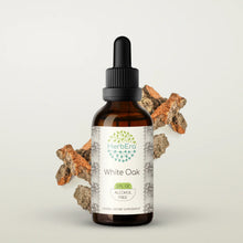 Load image into Gallery viewer, White Oak Tincture herbera White Oak Tincture herbera Herbal Extract