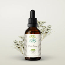 Load image into Gallery viewer, White Sage Tincture herbera White Sage Tincture herbera Herbal Extract