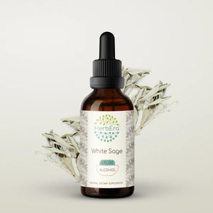 White Sage Tincture herbera White Sage Tincture herbera Herbal Extract