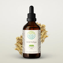 Load image into Gallery viewer, Wild Indigo Tincture herbera Wild Indigo Tincture herbera Herbal Extract