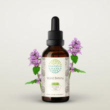 Load image into Gallery viewer, Wood Betony Tincture herbera Wood Betony Tincture herbera Herbal Extract