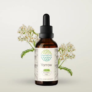 Yarrow Tincture herbera Yarrow Tincture herbera Herbal Extract