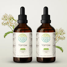 Load image into Gallery viewer, Yarrow Tincture herbera Yarrow Tincture herbera Herbal Extract