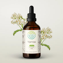 Load image into Gallery viewer, Yarrow Tincture herbera Yarrow Tincture herbera Herbal Extract